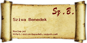 Sziva Benedek névjegykártya